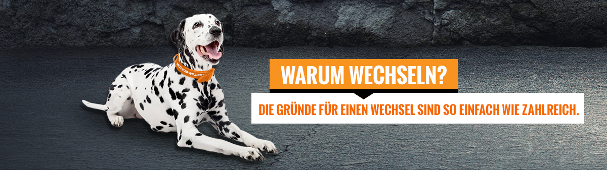 Zertifikate für Ökostrom - und was dahinter steckt